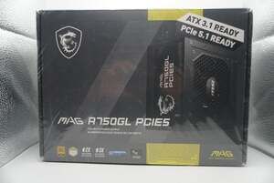 MSI MAG A750GL PCIE5 750W 80 Plus Gold Fully Modular Power Supply ATX 3.1 Ready